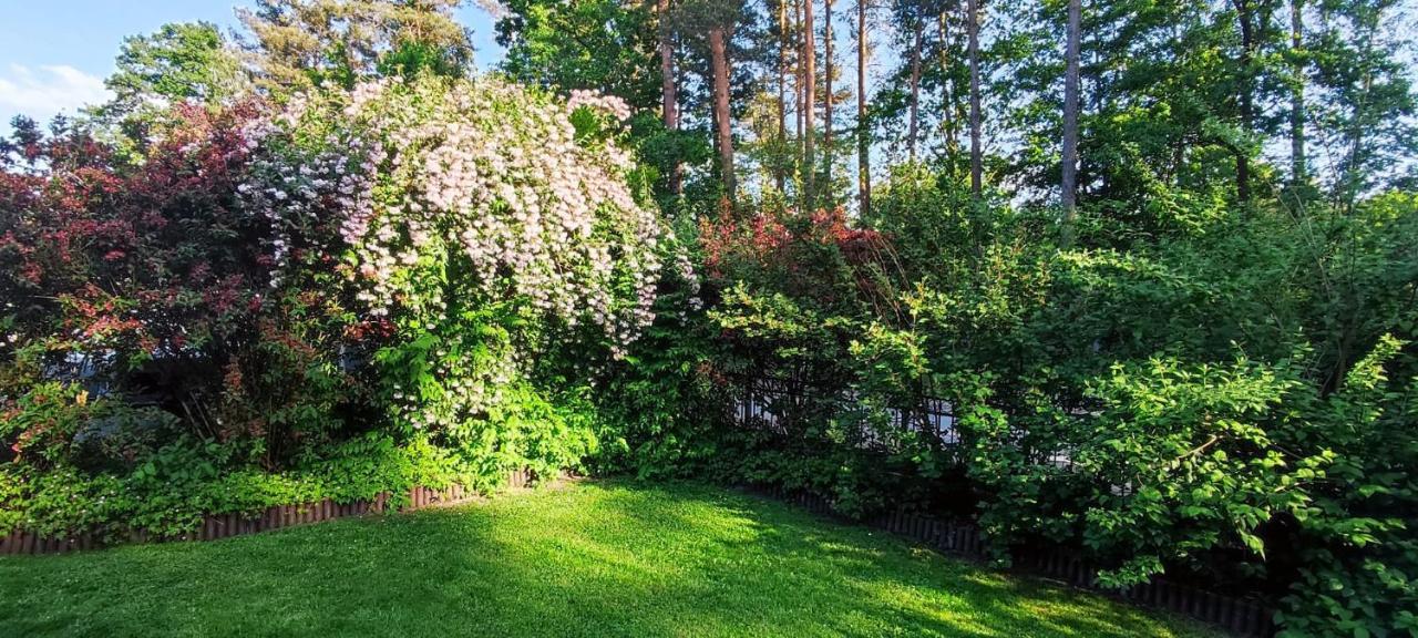 Waldidylle Apartment Küsten Екстериор снимка